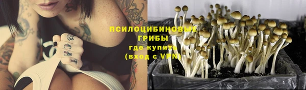 гашик Сафоново
