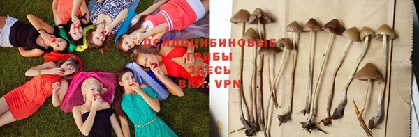 apvp Абинск