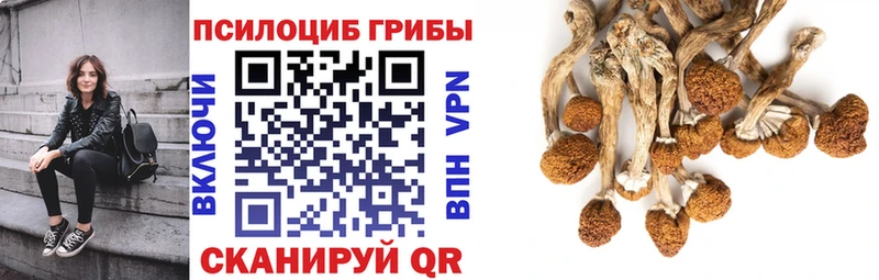 Псилоцибиновые грибы прущие грибы  Кулебаки 