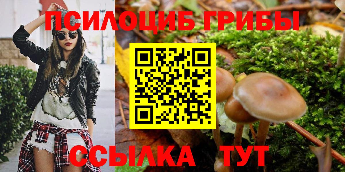 Псилоцибиновые грибы MAGIC MUSHROOMS Кулебаки