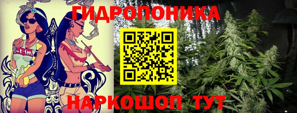 Бошки Шишки конопля  Марихуана план  Кулебаки  Каннабис OG Kush  Вход с VPN 